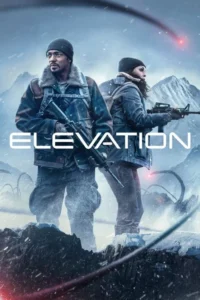 Read more about the article Elevation