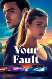 Read more about the article Your Fault