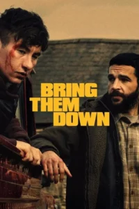 Read more about the article Bring Them Down