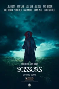 Read more about the article Scissors