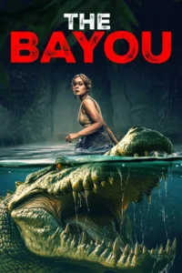 Read more about the article The Bayou