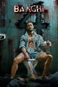 Read more about the article Baaghi 4