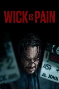 Read more about the article Wick Is Pain