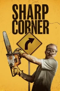 Read more about the article Sharp Corner