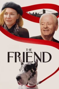 Read more about the article The Friend