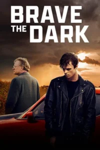 Read more about the article Brave the Dark