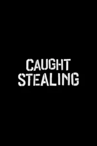 Read more about the article Caught Stealing