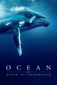 Read more about the article Ocean with David Attenborough