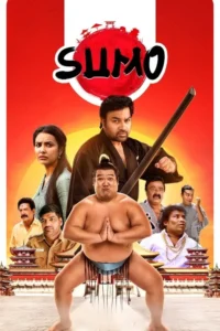 Read more about the article Sumo