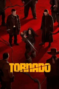 Read more about the article Tornado