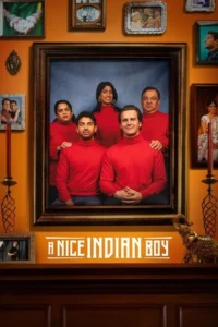 Read more about the article A Nice Indian Boy
