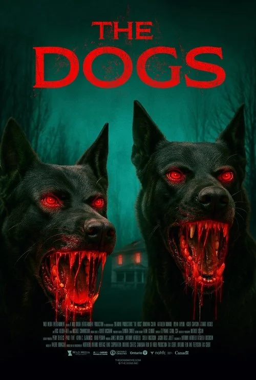 You are currently viewing The Dogs