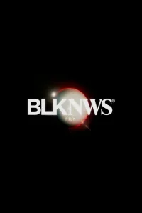 Read more about the article BLKNWS: Terms & Conditions