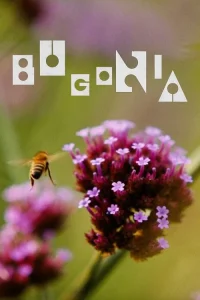 Read more about the article Bugonia
