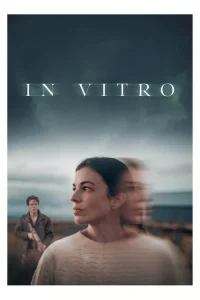Read more about the article In Vitro