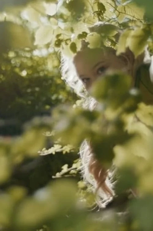 You are currently viewing The Magic Faraway Tree