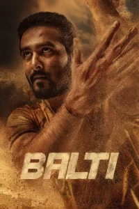 Read more about the article Balti