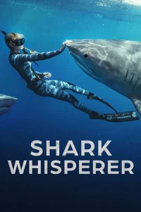 Read more about the article Shark Whisperer